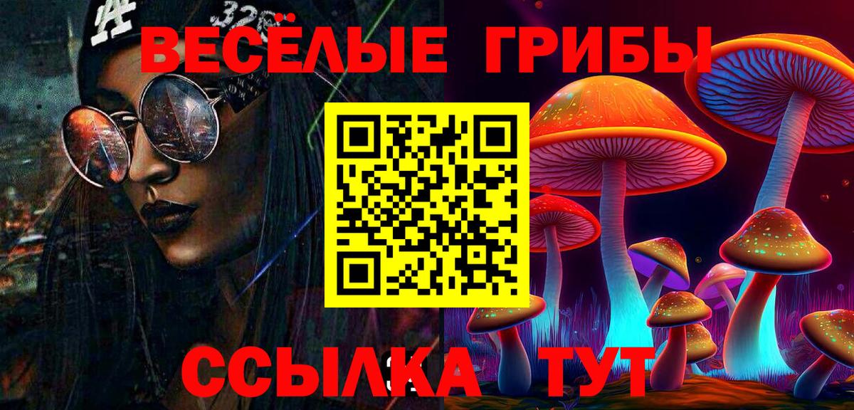 Галлюциногенные грибы Cubensis Орёл