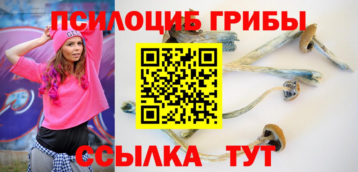 Орёл  Псилоцибиновые грибы Magic Shrooms  Вход с VPN 